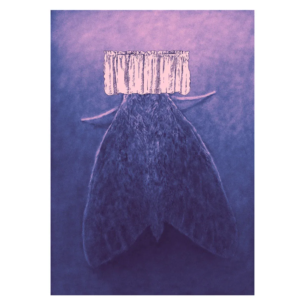 A Moth Print - 6x8”