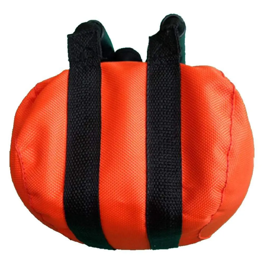 Adjustable Kettlebell Sandbag