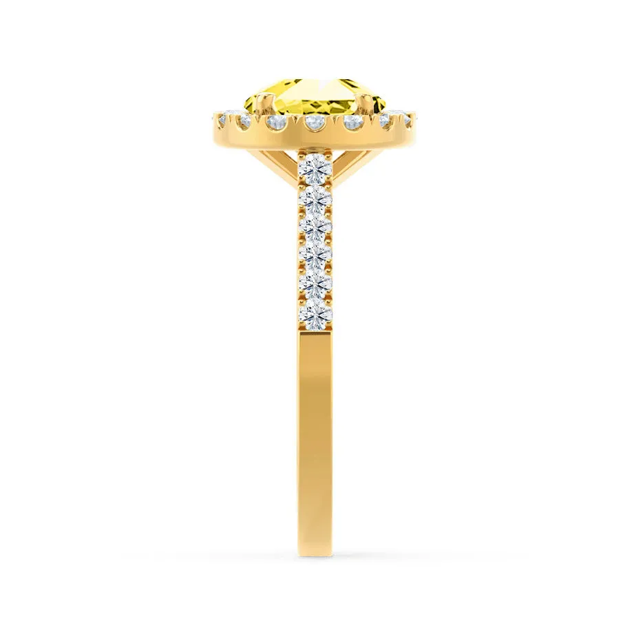 CECILY - Chatham® Lab Grown Yellow Sapphire & Diamond 18k Yellow Gold Halo Ring