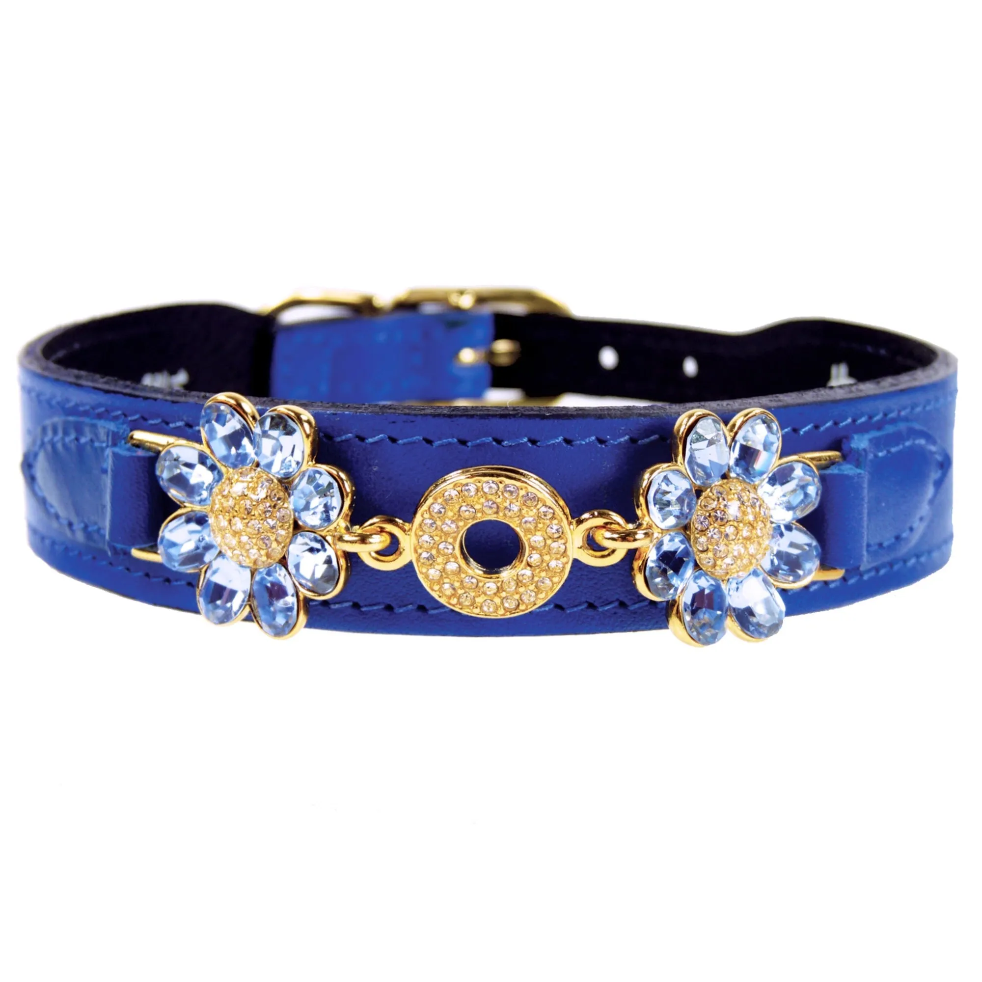 Daisy Dog Collar in Cobalt Blue & Gold