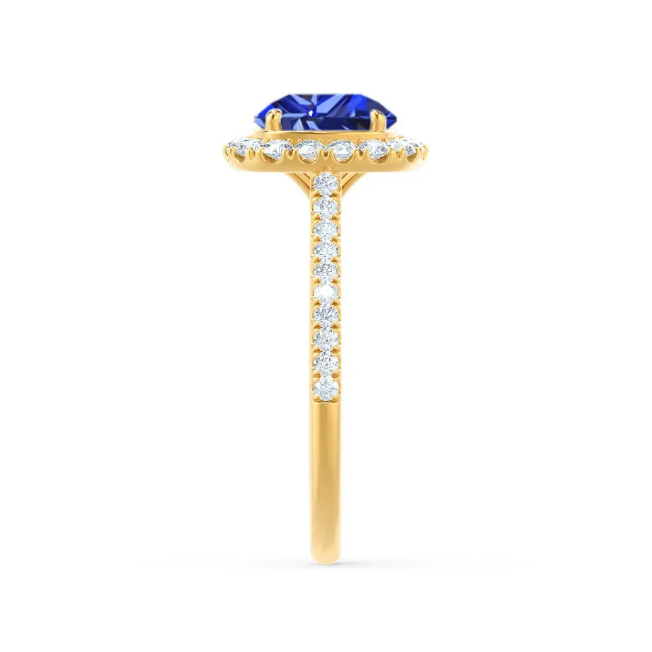 DARLEY - Chatham® Blue Sapphire Elongated Cushion Micro Pavé 18k Yellow Gold Halo