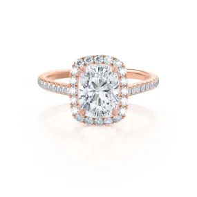 DARLEY - Moissanite Elongated Cushion Micro Pavé 18k Rose Gold Halo