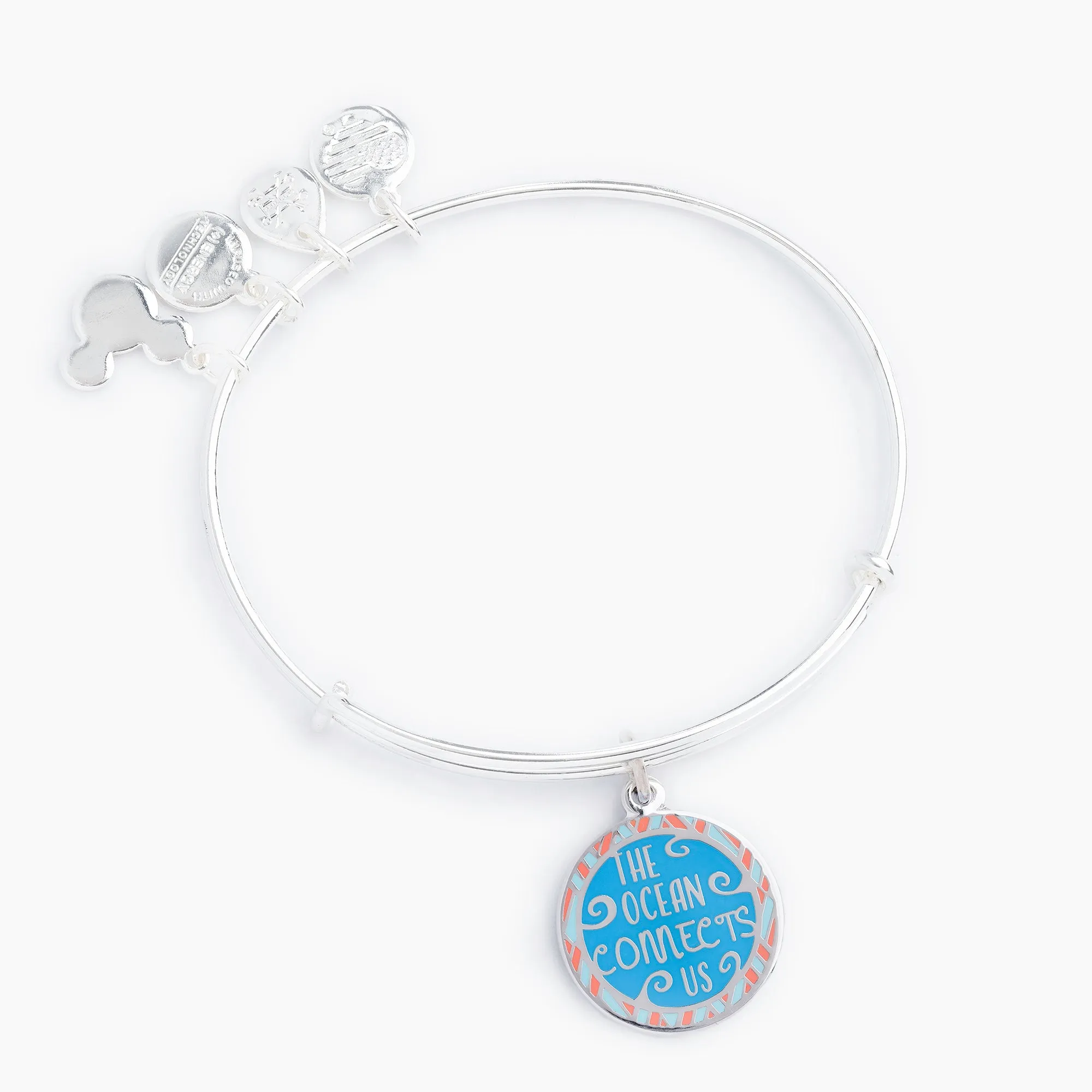 Disney Moana Charm Bangle