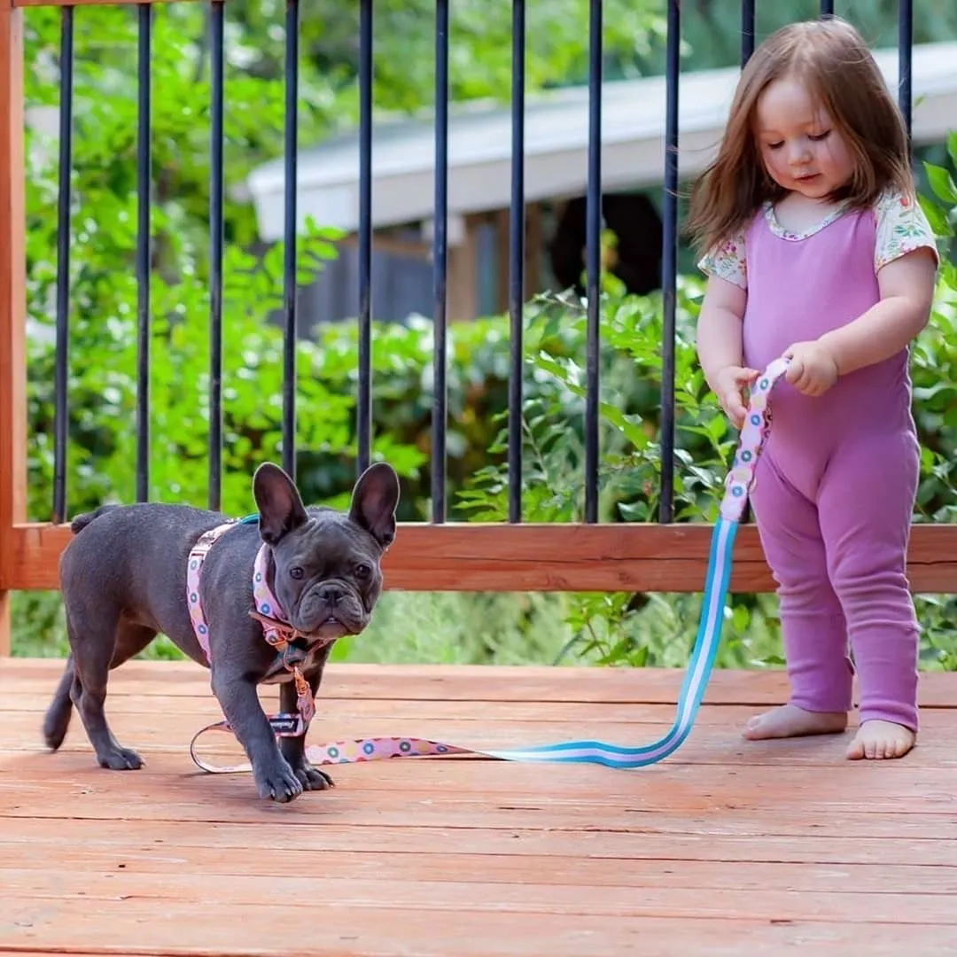 Frenchiestore Adjustable Pet Health Strap Harness | Pink StarPup