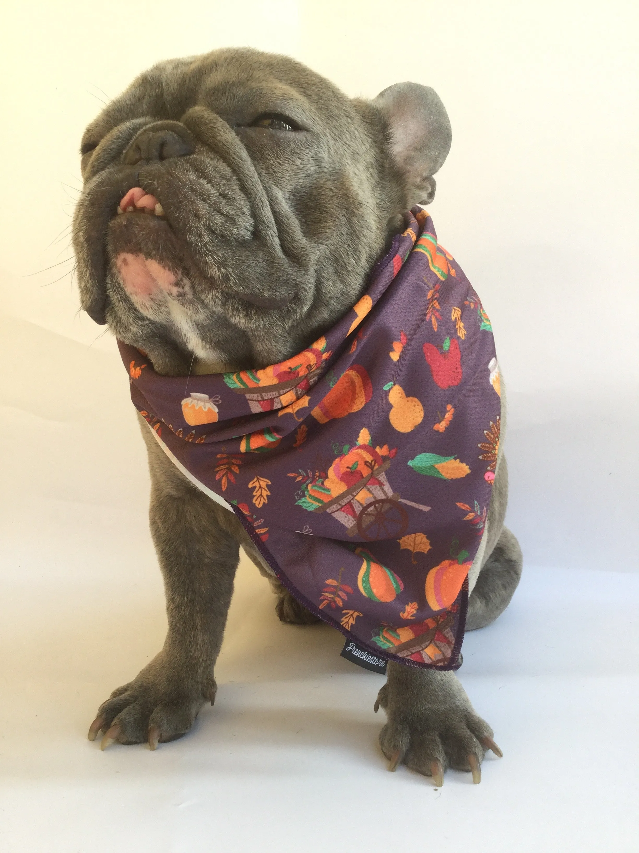 Frenchiestore Dog Cooling Bandana |  Thanksgiving