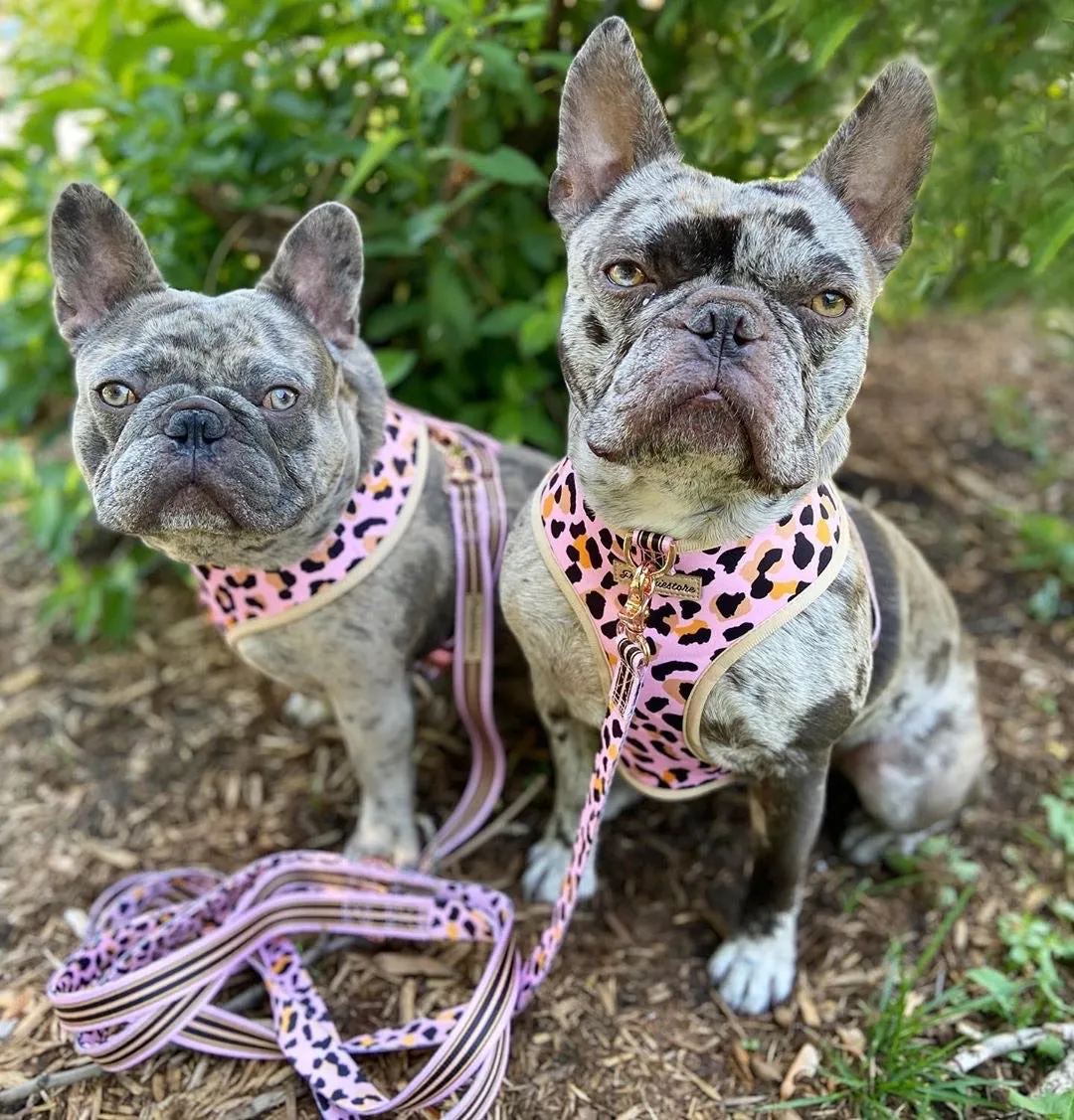 Frenchiestore Dog Luxury Leash | Wild One