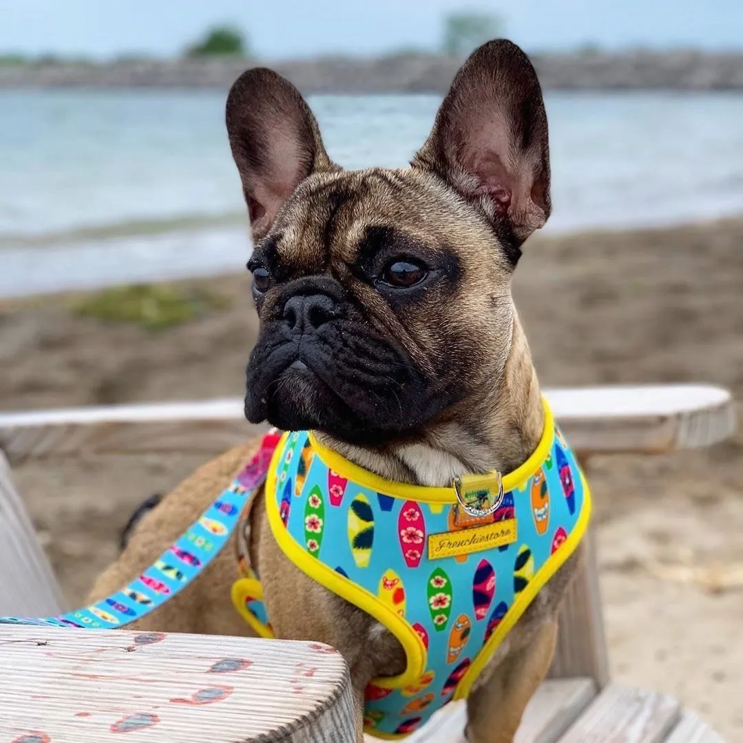 Frenchiestore Luxury Leash | California Dreamin'