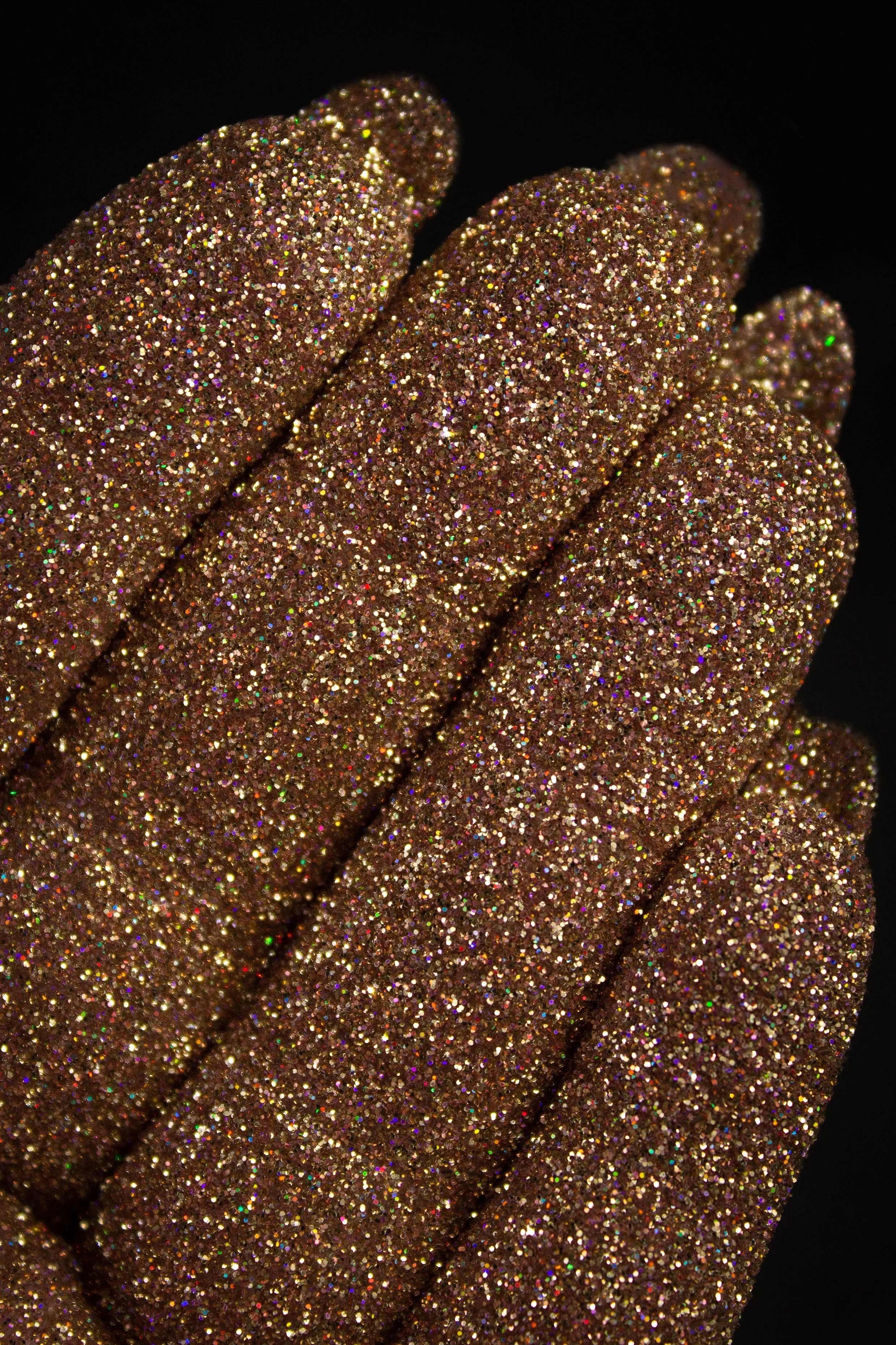 Golden Rose Holographic Glitter