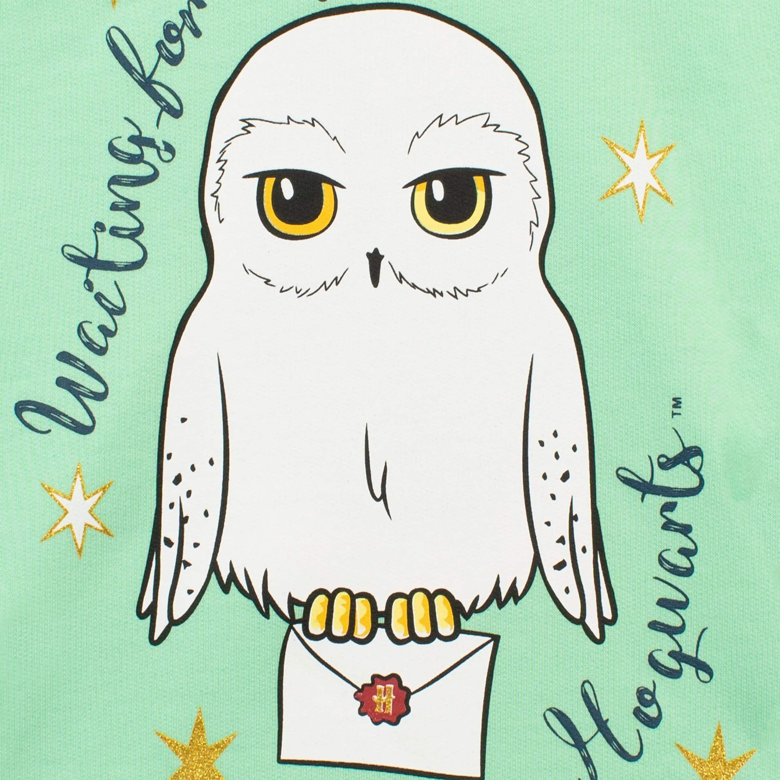 Harry Potter Hoodie - Hedwig