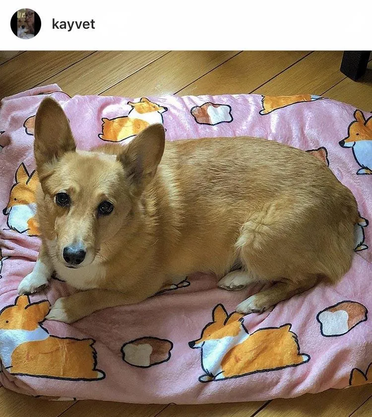 Pink Loaf Corgi Fleece Blanket | 3 Sizes