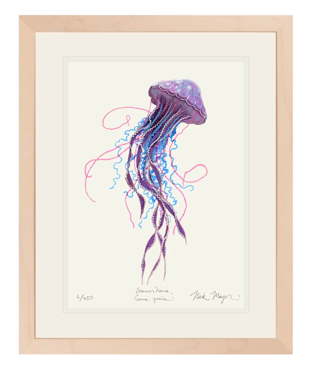 Purple Jellyfish II Print - Best Seller