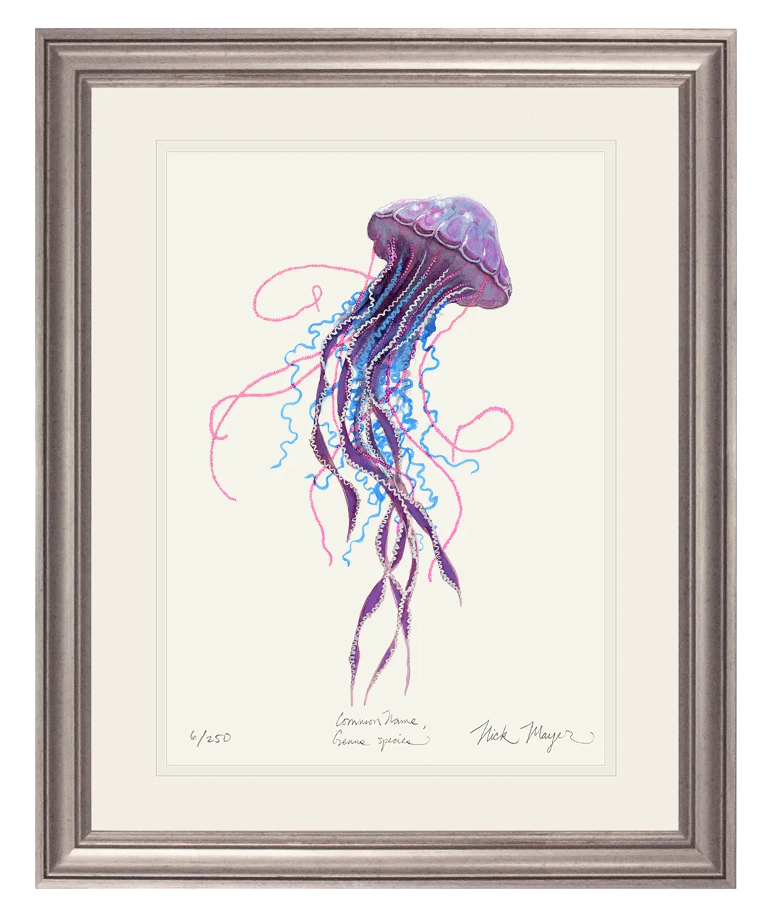 Purple Jellyfish II Print - Best Seller