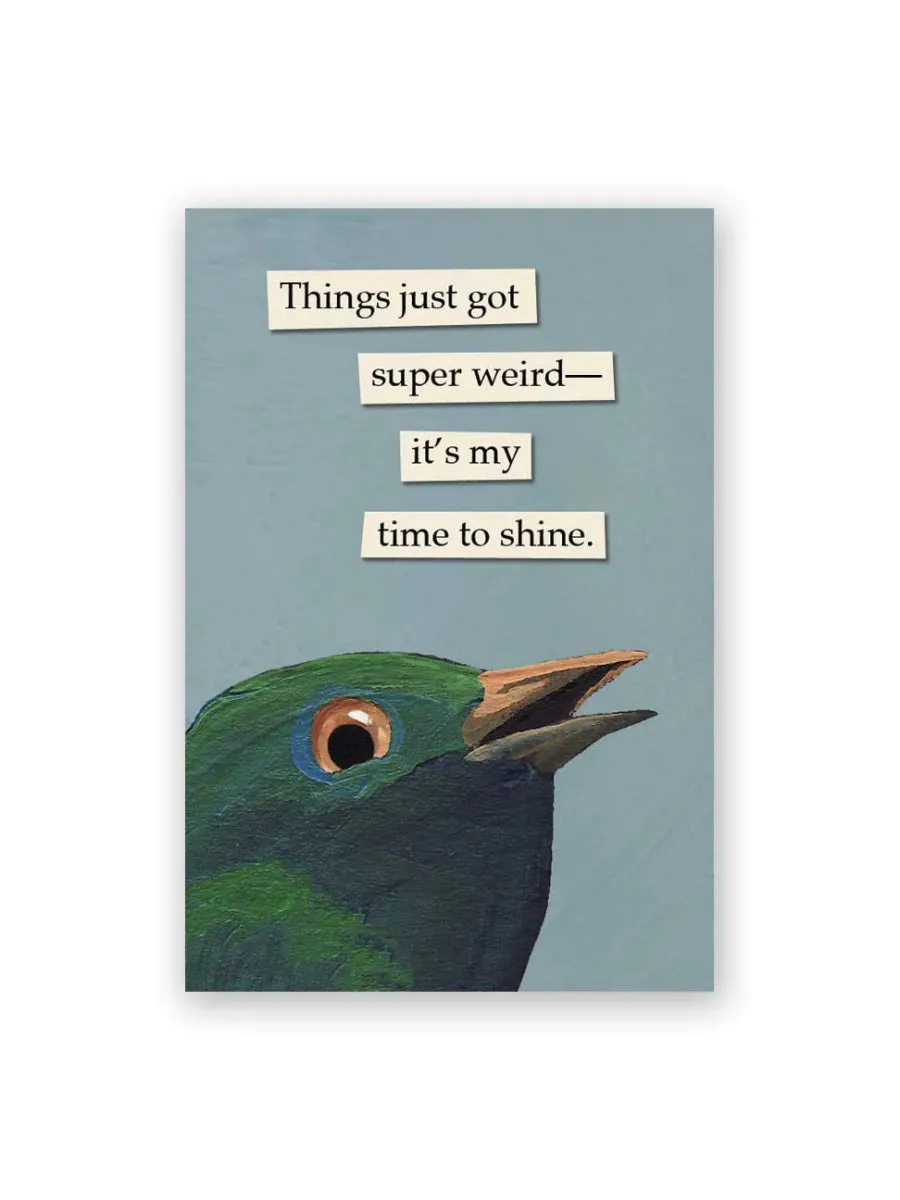 Things Just Got Weird Funny Bird Magnet